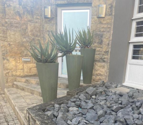 The Aloe